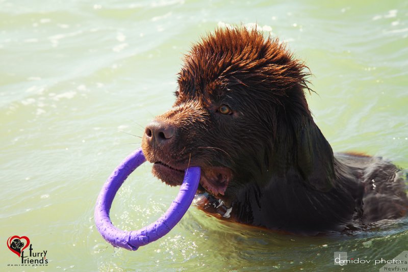 Фотография № 197884