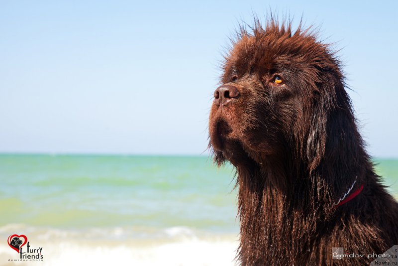 Фотография № 197887