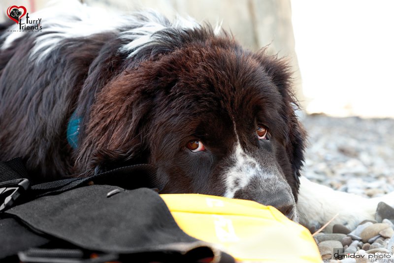 Фотография № 197890