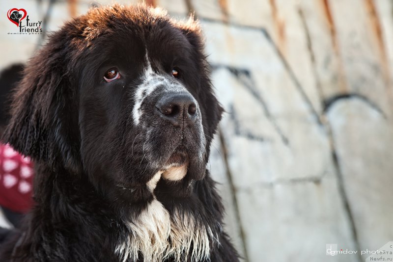 Фотография № 197891