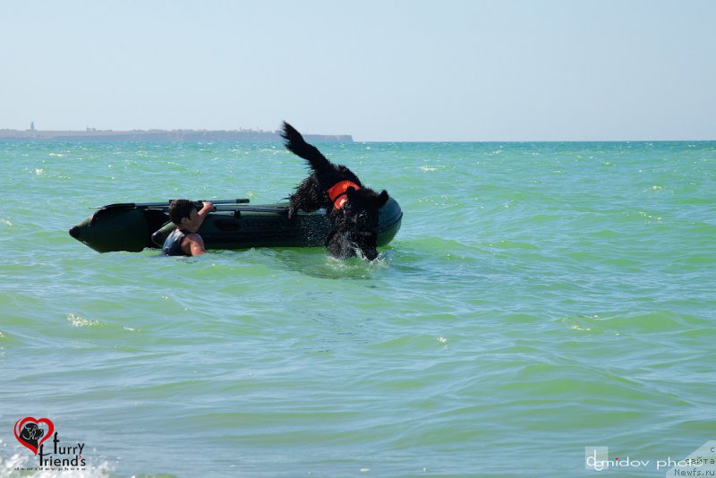 Фотография № 197900