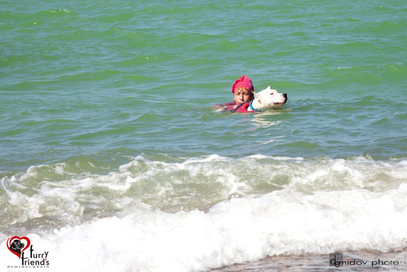 Фотография № 197902