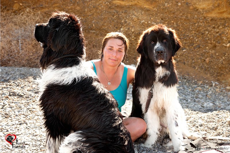 Фотография № 197903