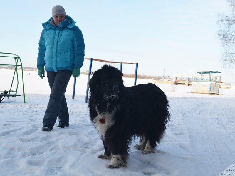 Фотография № 197912