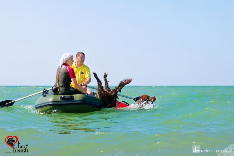 Фотография № 197927