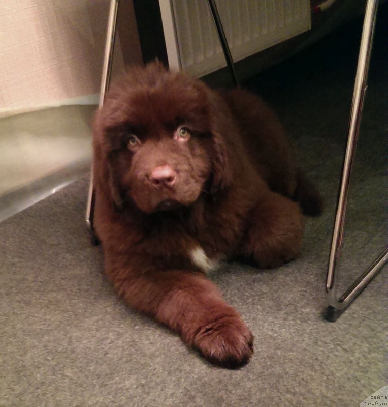 Фотография № 197931