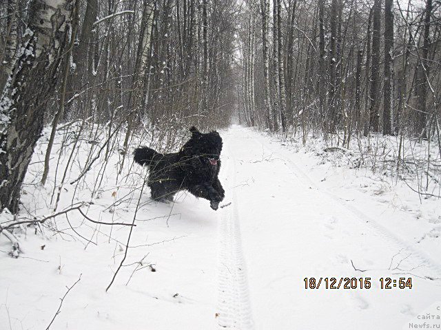 Фотография № 197936