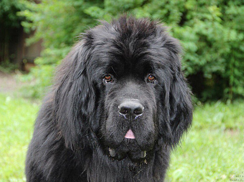 Фотография № 197959