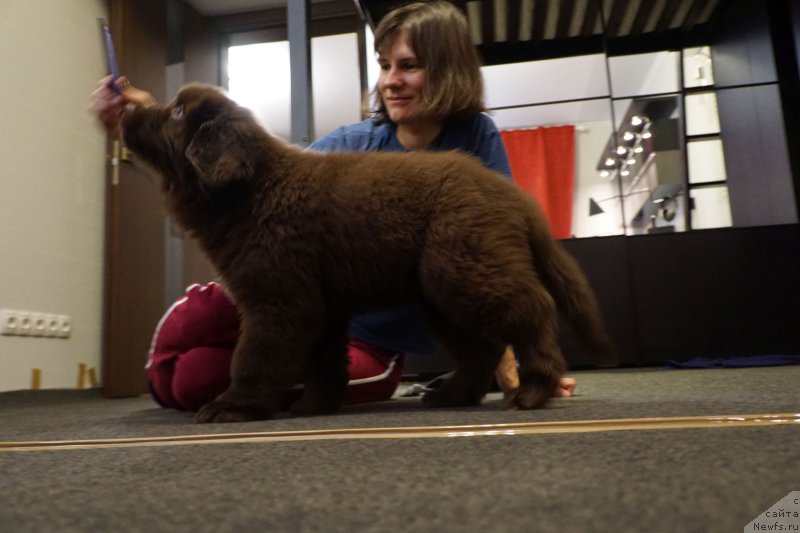 Фотография № 197962