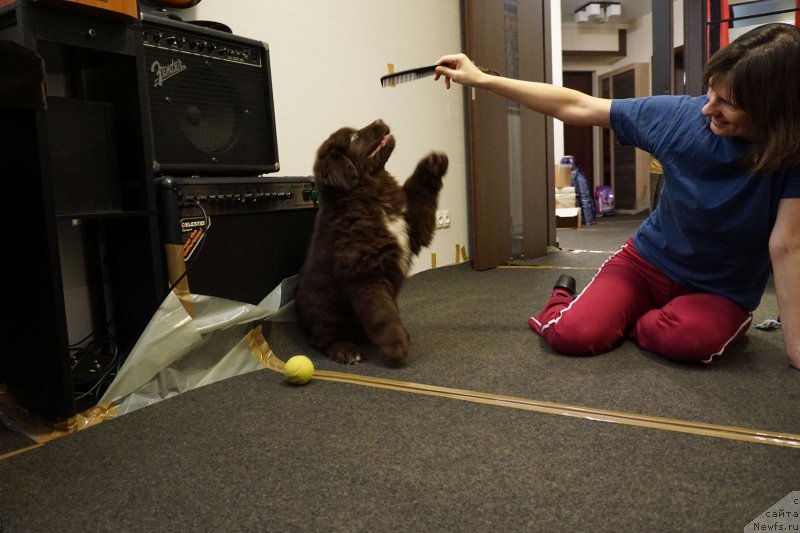 Фотография № 197966