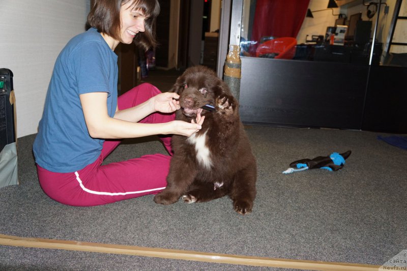 Фотография № 197967