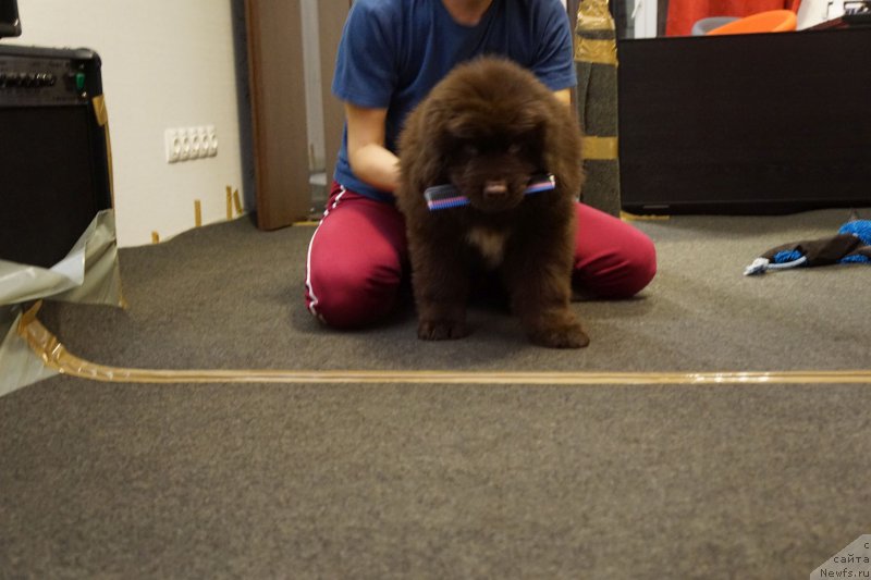 Фотография № 197969