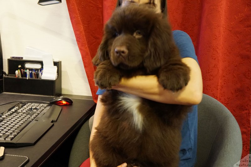 Фотография № 197971