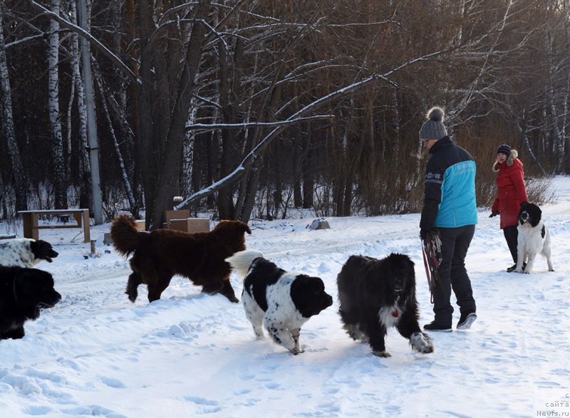 Фотография № 197973