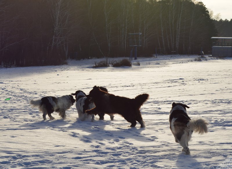 Фотография № 197974