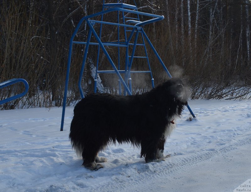 Фотография № 197976