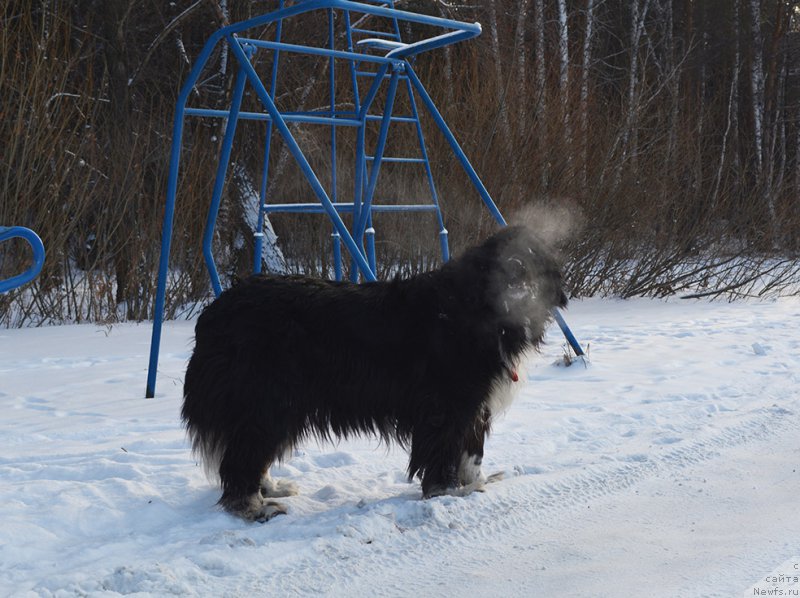 Фотография № 197977