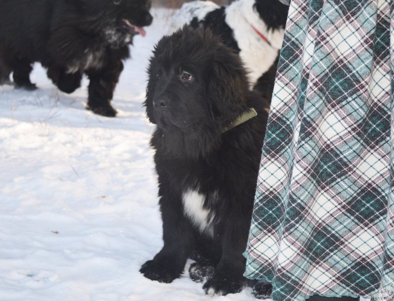 Фотография № 197978