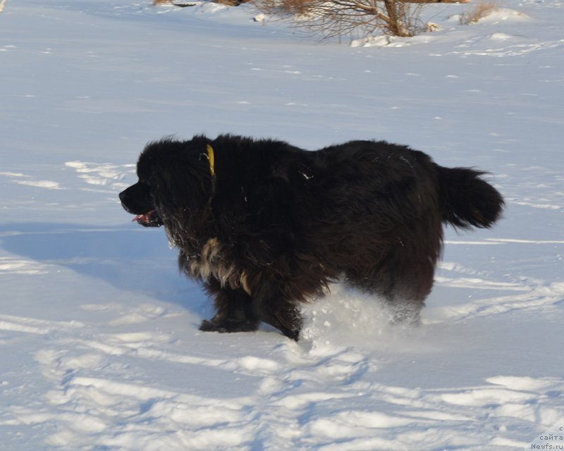 Фотография № 197980