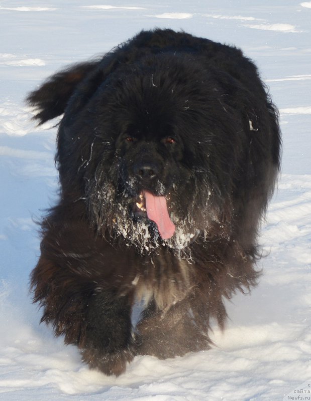 Фотография № 197981