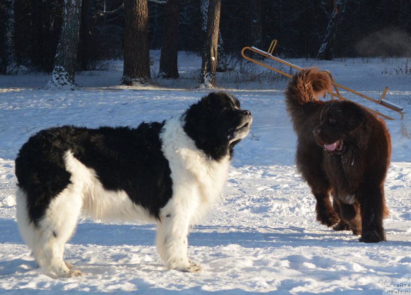 Фотография № 197984