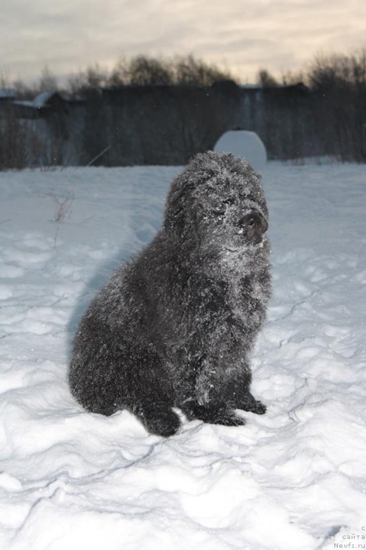 Фотография № 197986