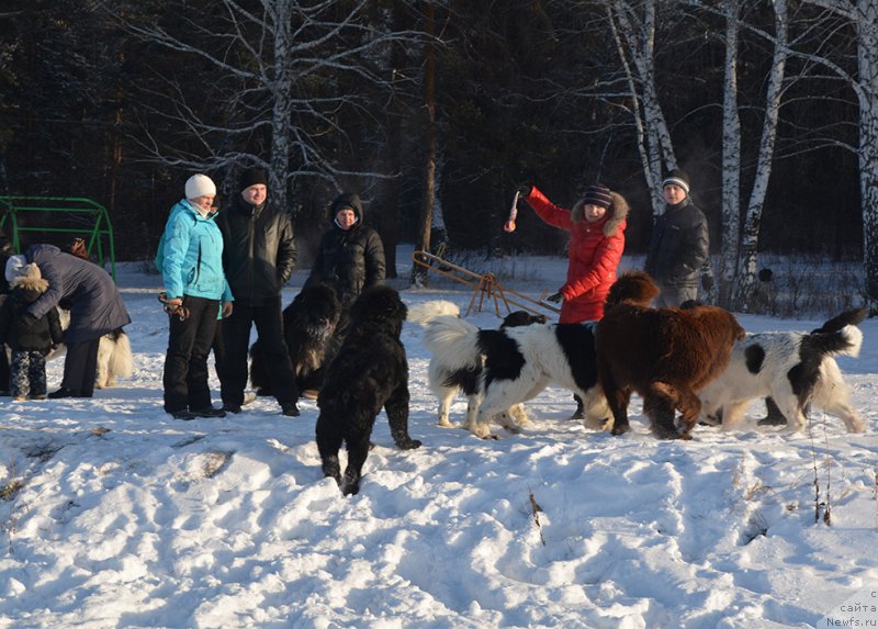 Фотография № 197987