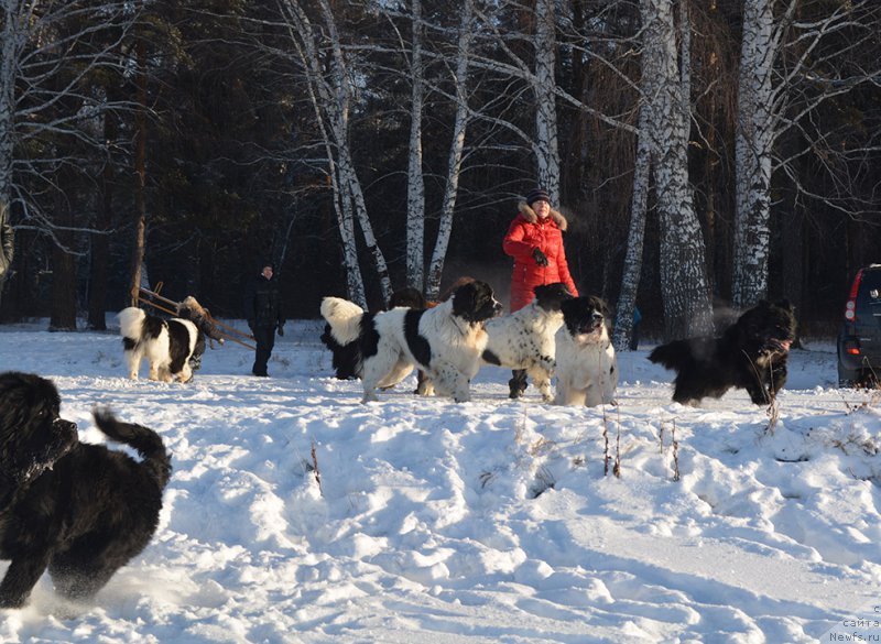 Фотография № 197989