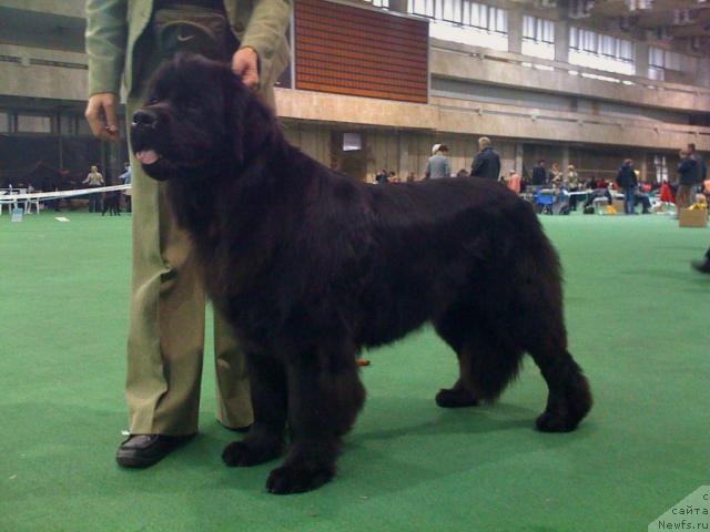 Фотография № 19799