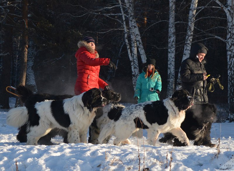 Фотография № 197990