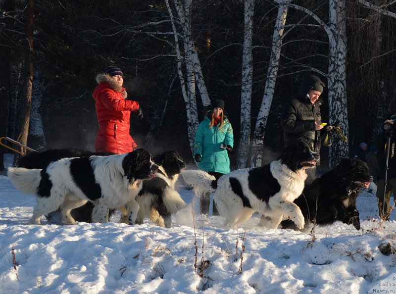 Фотография № 197991