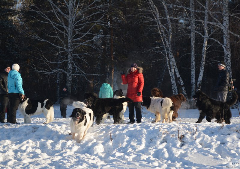 Фотография № 197992