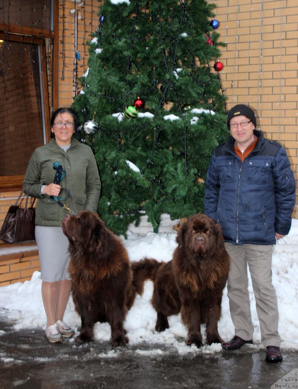 Фотография № 197996