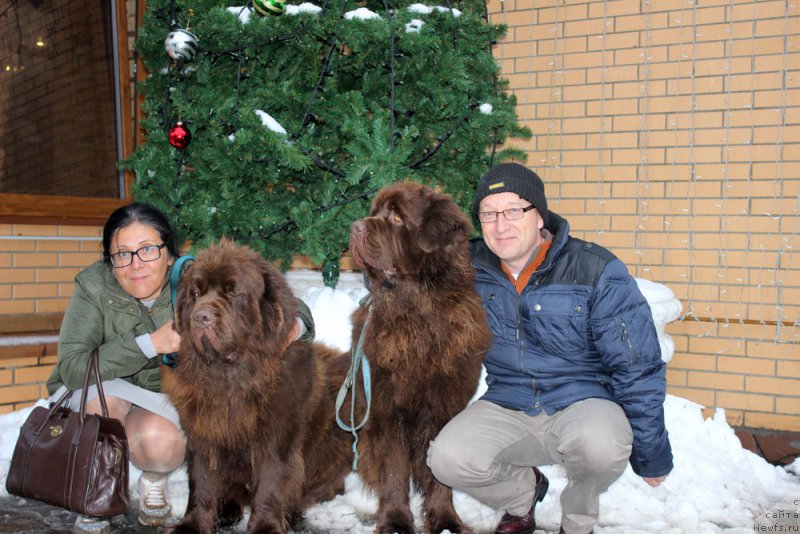 Фотография № 197997