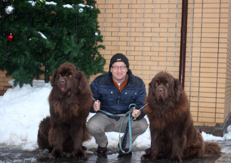 Фотография № 197999