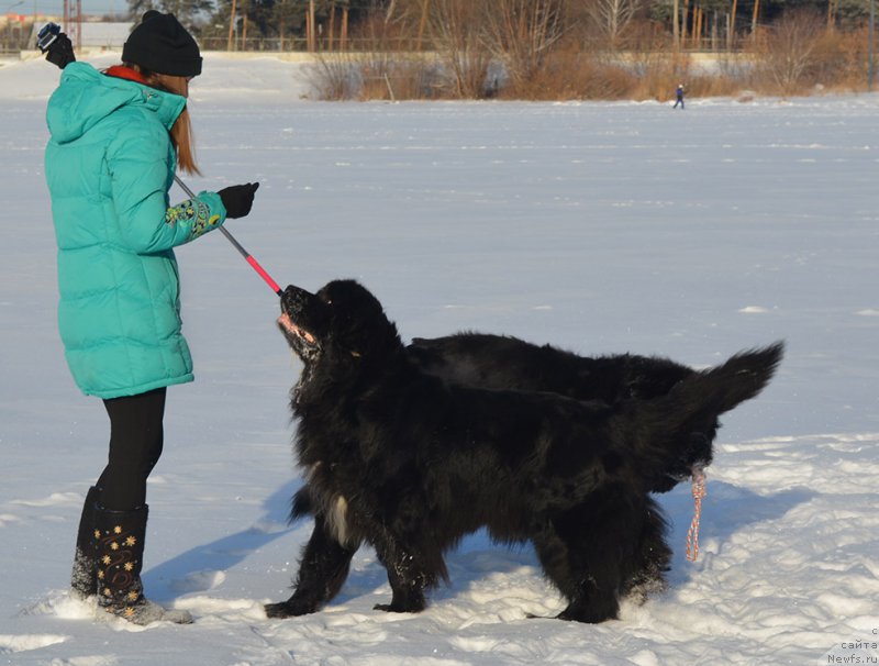 Фотография № 198003