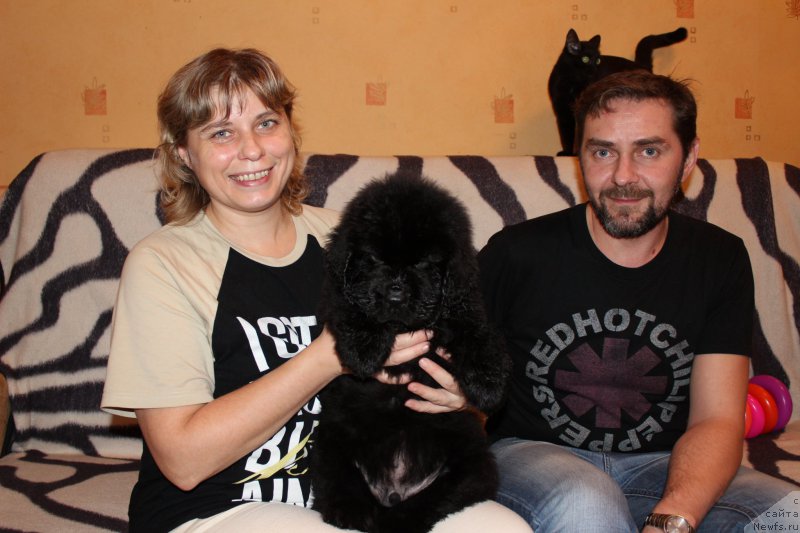 Фото: дети, ньюфаундленд Smigar Legenda Vesny (Смигар Легенда Весны), ньюфаундленд Smigar Brilliant of My Soul (Смигар Бриллиант ов Май Соул)