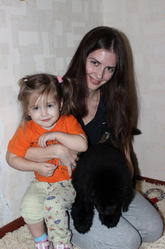 Фото: дети, ньюфаундленд Smigar Legenda Vesny (Смигар Легенда Весны), ньюфаундленд Smigar Brilliant of My Soul (Смигар Бриллиант ов Май Соул)