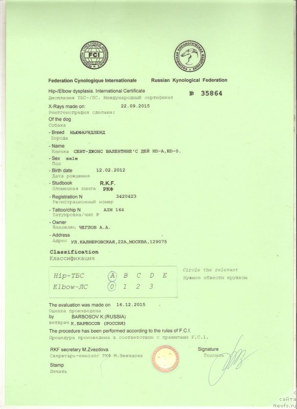 Фотография № 198030