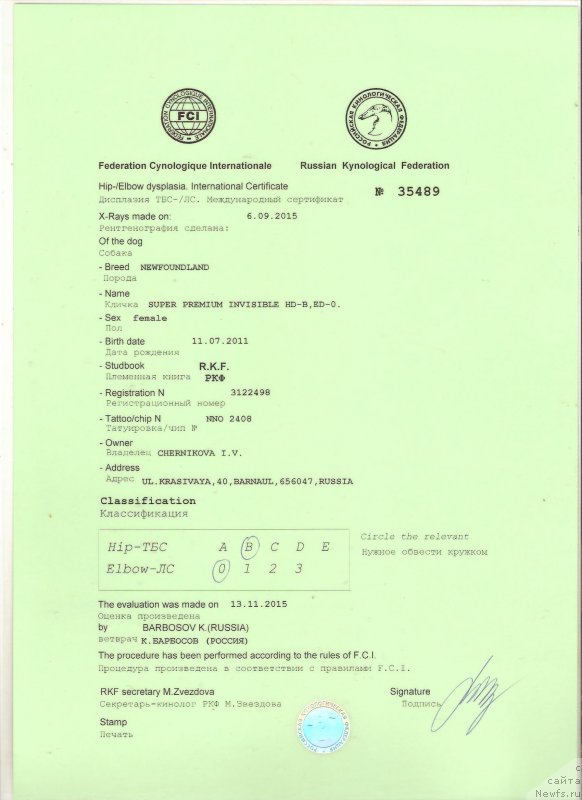 Фото: ньюфаундленд Super Premium Invisible (Супер Премиум Инвисибл)