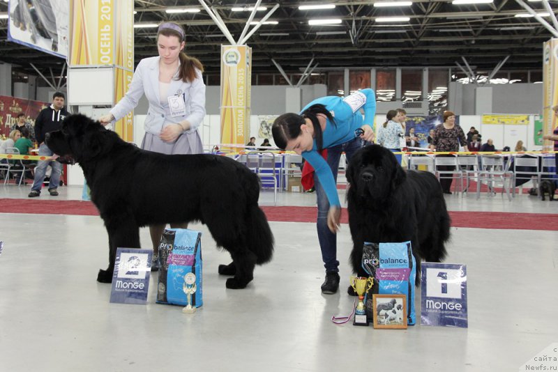 Фотография № 198033