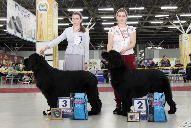 Фотография № 198036