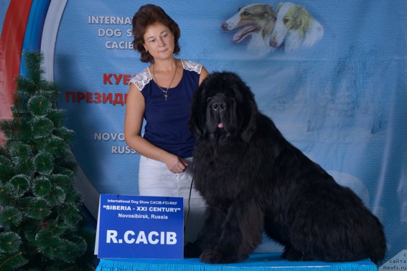 Фотография № 198038