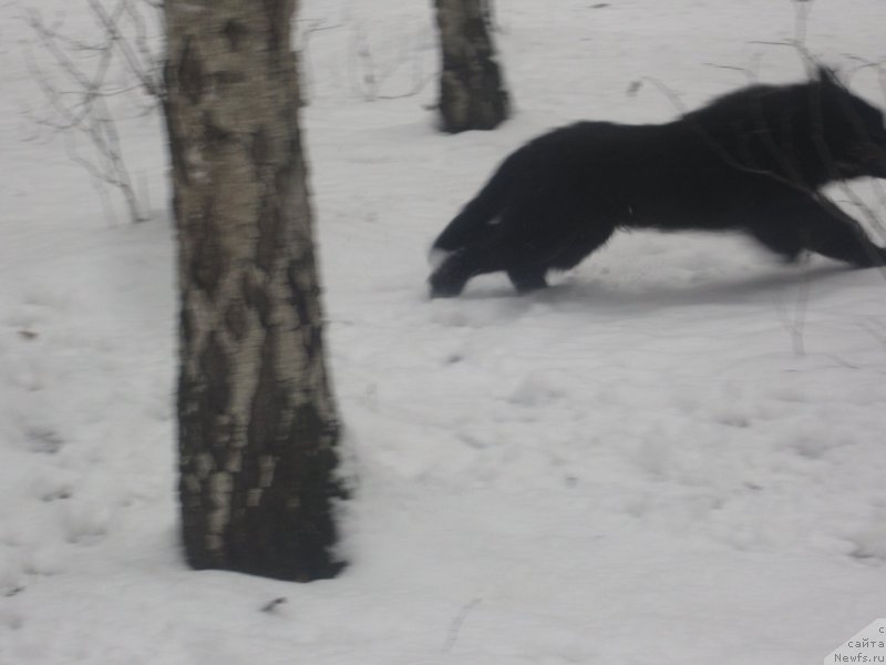 Фото: Natal'ya Smazchikova (Наталья Смазчикова)