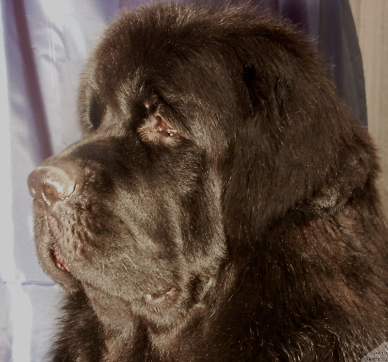 Фотография № 198073