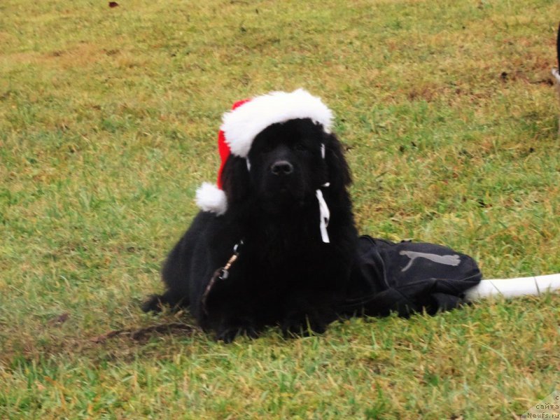 Фотография № 198077