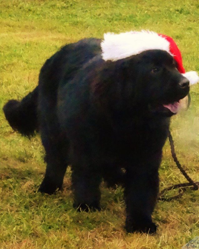 Фотография № 198078