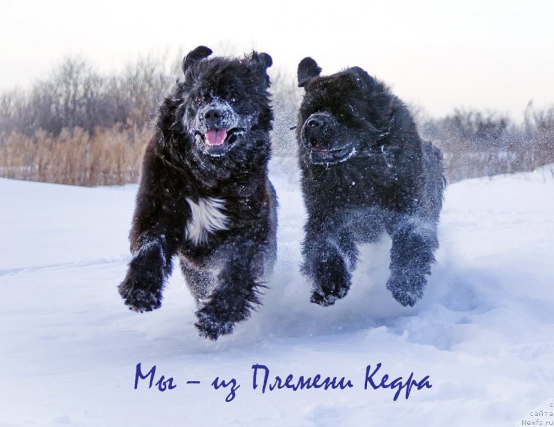 Фотография № 198092