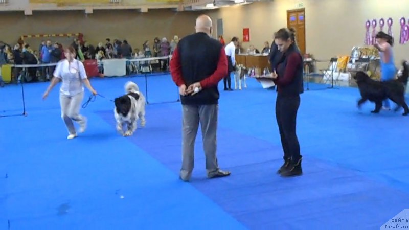 Фото: Шарман