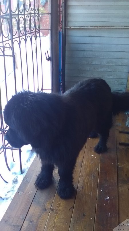 Фото: Ol'ga Timofeeva (Ольга Тимофеева)